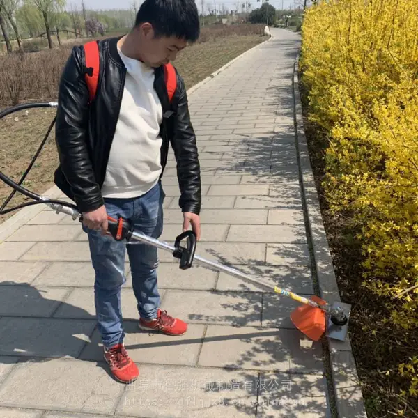 ����ǿ��ɽ��������ݻ� ��԰�Ӳݳ��ݻ� �����԰���ݻ�³ǿ��е