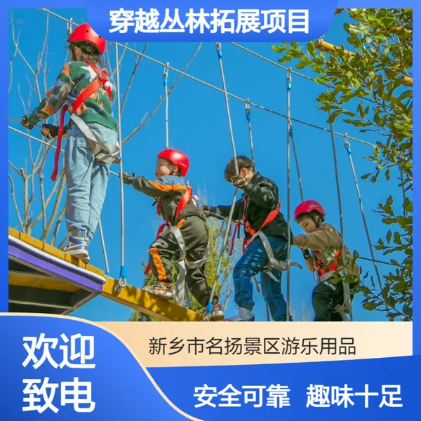 亲子娱乐互动穿越丛林拓展项目 森林景区闯关游乐冒险设施厂家