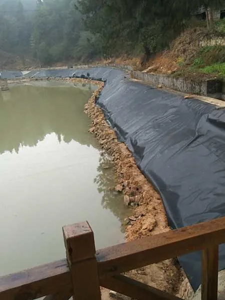 西南地区土工膜防渗选重庆高硕HDPE鱼塘化工藕田专用膜
