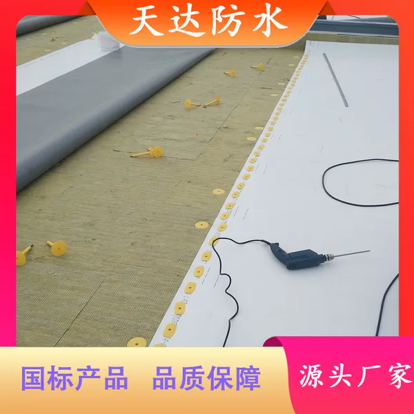 TPO防水卷材 高强度 高耐候 高机械性能 为建筑提供长久保护