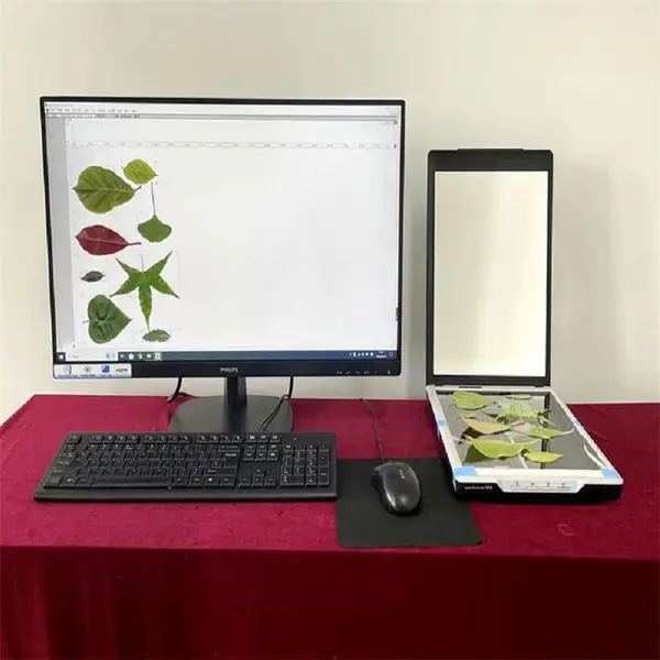 ҶƬͼ������ǣ��������ԣ� �ͺ�:G23-FS-leaf1000��ţ�M361016