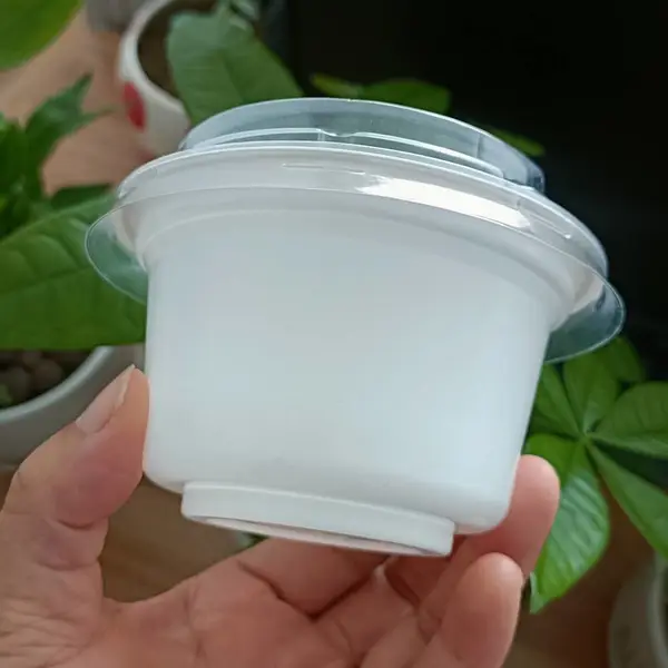 烘焙工坊可封膜酸奶杯 一次性PP材质 多尺寸可定制印刷甜品酸奶碗