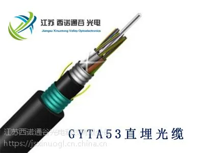 地埋光缆 直埋光缆型号 GYTA53-24B1