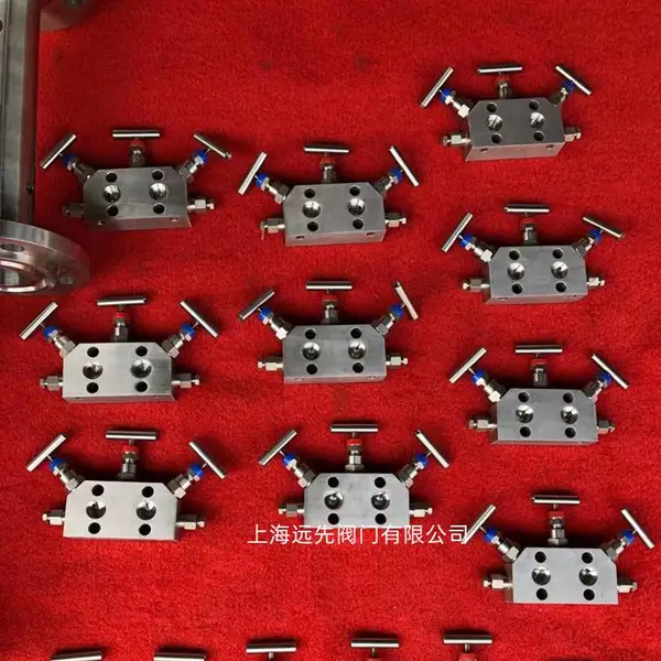 SS-V3NBF8不锈钢3阀仪表阀组