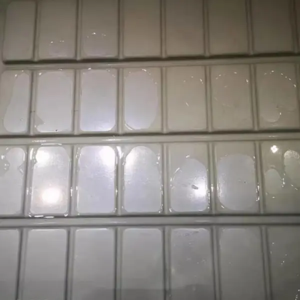 匀苗壮根,潮汐苗床稳步提升种苗整体出苗品质