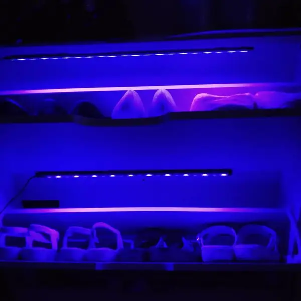 乐亿迪工厂定制衣柜鞋柜储物柜UVLED杀菌灯深紫外LEDL消毒灯