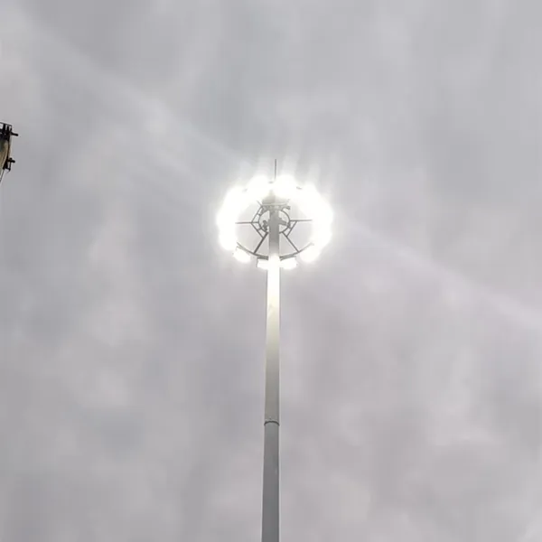 �ӱ��������� 25������ʽ�߸˵�LEDͶ���Q235�ֲĸ߸˵Ƹ�