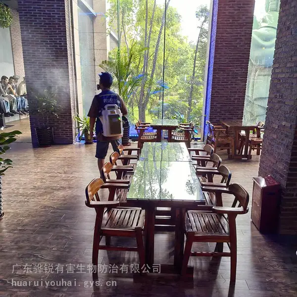 湖北鼠类消杀 湖北白蚁防控服务 采用安全无害的除虫方法