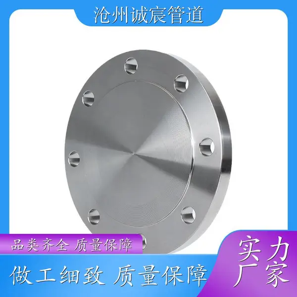 广西来宾诚宸管道化工用316L热压工程盲板工程专用