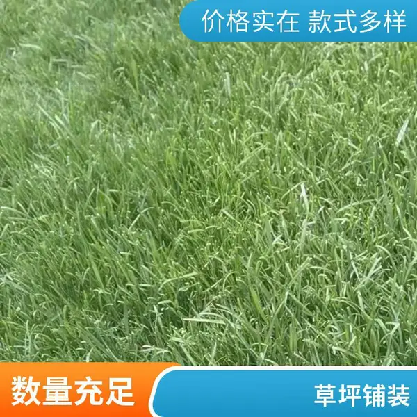 北京屋顶花园设计户外草坪铺装户外别墅私家花园设计草坪铺装施工