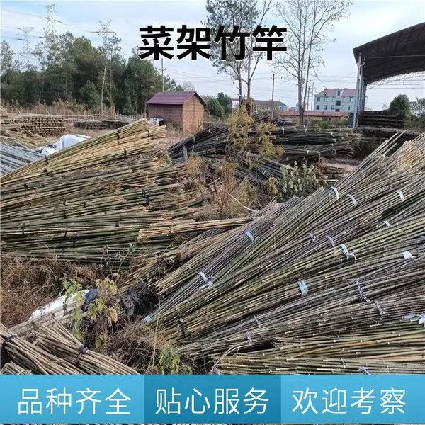 蔬菜爬藤竹竿 2.5米 烤竹工艺 黄瓜架杆 菜园搭架 耐用