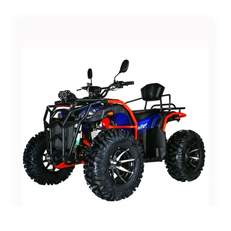 300CC 4x4 4�����ٴ����� ɳ̲�� �������γ���ԽҰ�� ����Ħ�г�