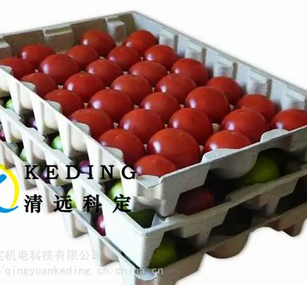 广东工厂供应水果托 蛋盒蛋托 纸浆模塑纸制品