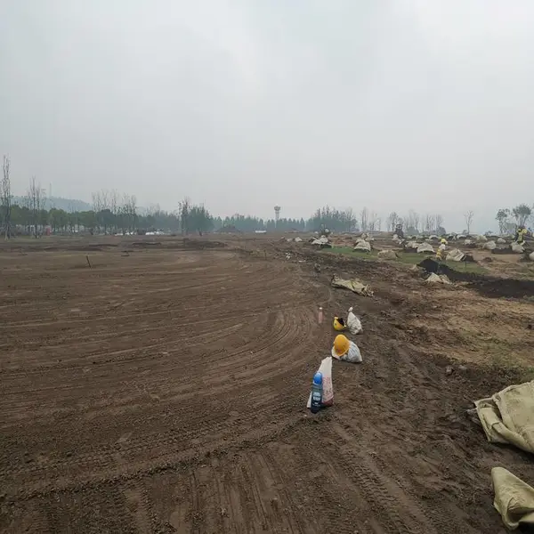 绵阳营养土 腐殖土 草炭土 育苗基质 花卉蔬菜用