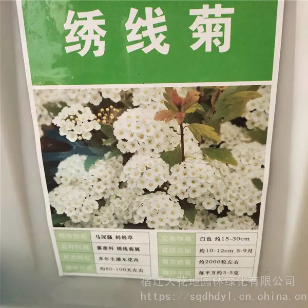 �����¾ջ����� ���߾����� ��ѿ*** �۸���� ***