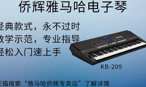 松江区电子琴厂家 上海侨辉经贸供应