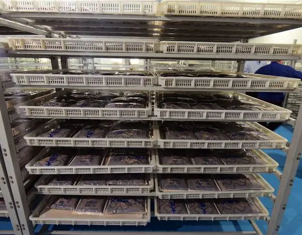 火锅底料代加工-攀枝花火锅底料-盛世麒麟
