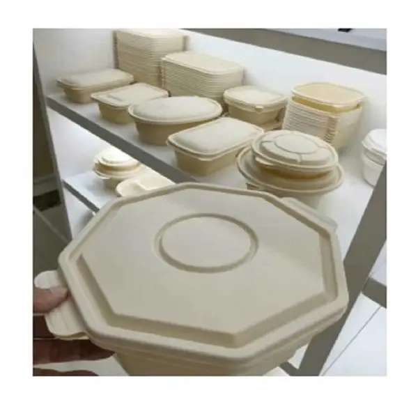一次性环保餐盒 刀叉 水果蔬菜包装盒水杯 PLA食品级外卖便当盒 水杯