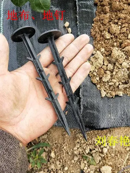 pp编织布厂家-果园地布、大棚除草布盖草布规格多多