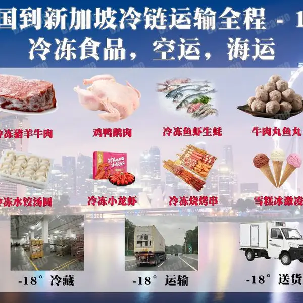 冷冻食品拼箱/整柜运输到新加坡