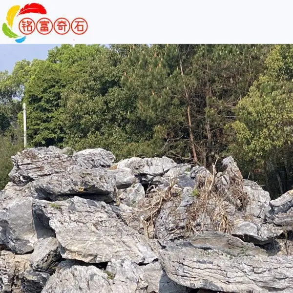 德州水景英石直批,山东假山流水设计,英德石原产地石材