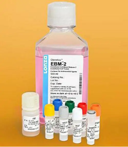 ��Ƥ��������װ CC-3162 M386732