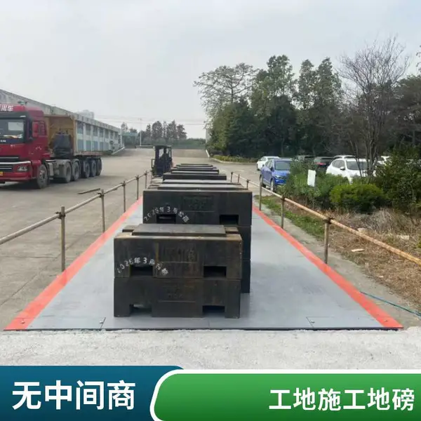 顺德地磅60吨不锈钢 化工园区耐腐蚀系统