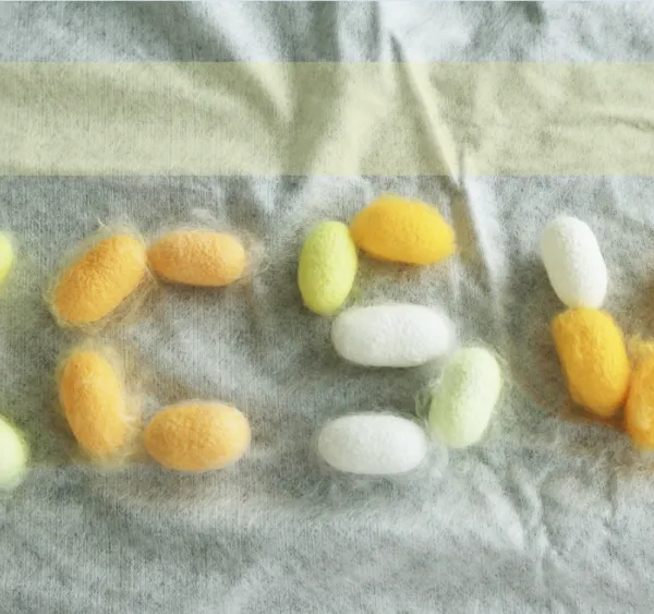 【苏州先蚕】彩色天然蚕丝原料彩色蚕茧多色茧壳无色素添加