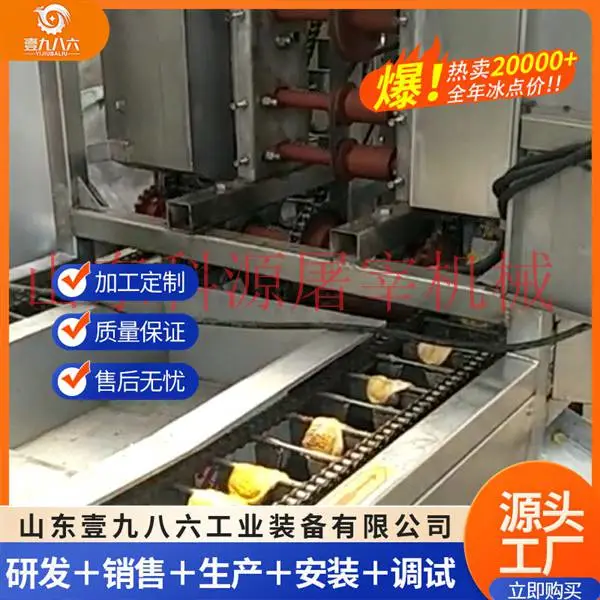 全自动剥胗机 不锈钢鸭肫剥黄皮机 家禽屠宰设备 经久耐用