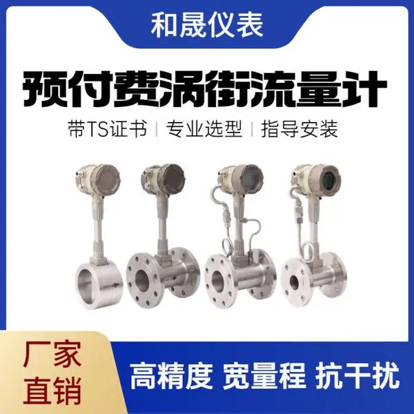 抗振型涡街流量计 远程抄表涡街流量计 可按客户需求定制-和晟智远