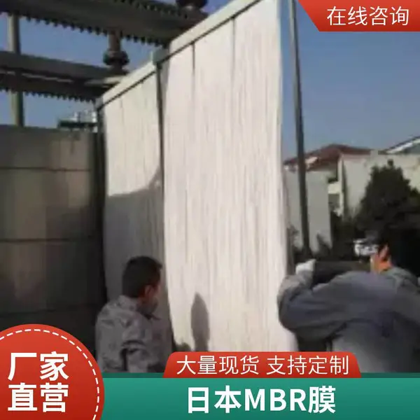 进口mbr膜50E0025SA 正品保障 MBR膜与MCR膜用中空纤维超滤膜 浸没式