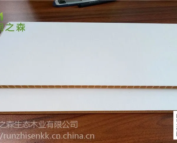 临沂石塑墙板建材集成墙面 开启家装超速时代