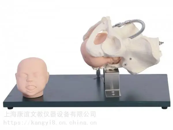 ��Ӧ������KAY-F23����̥��ͷ�Ĺ���ģ�͹����̥��ͷģ��