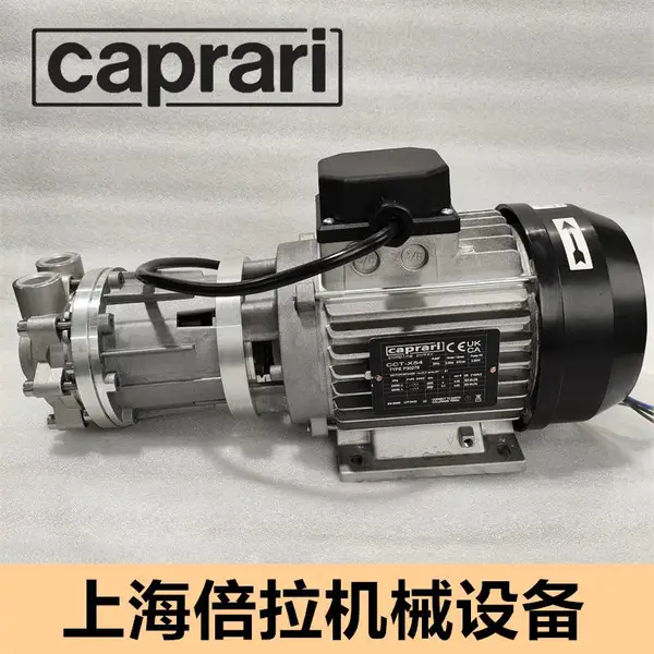 压铸模温机磁力泵Caprari凯帛瑞模温机泵CCT-X206 400V 50HZ