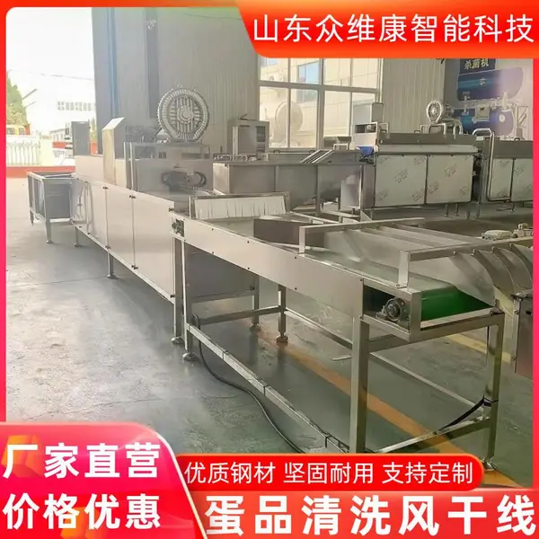 商用大型鸡蛋清洗机 松花蛋蛋品清洗线源头厂家 保洁蛋制作洗蛋机