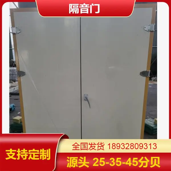 多功能厅防火门 防火阻燃隔音 钢制对开 会议室影院隔音门