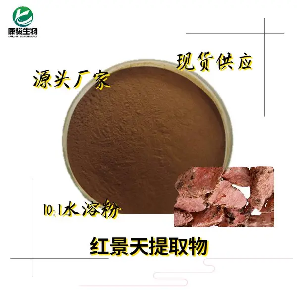 红景天苷 红景天提取物 红景天甙 康骏生物现货销售 量大优惠