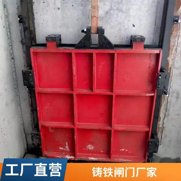 ��Ӧ�綯��բһ������բ�� DPZ˫��������բ��