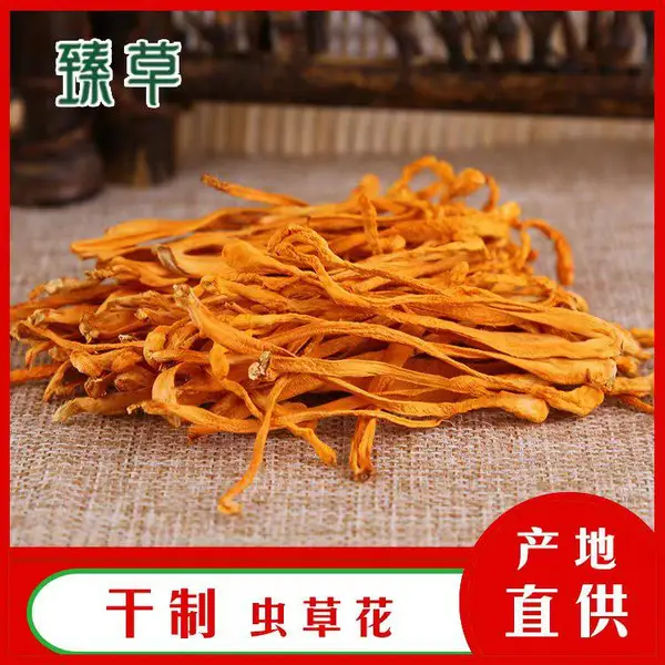 菌汤用北虫草批发、广东煲汤用北虫草