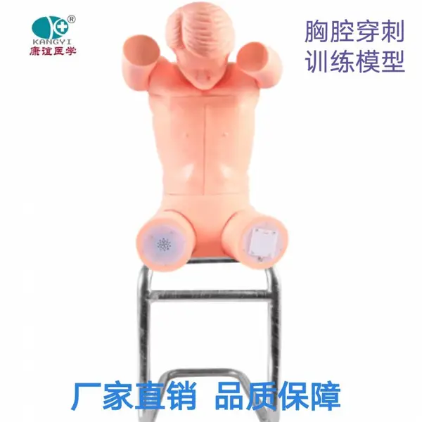��Ӧ������KAY-CK812��ǻ������������ѵ��ģ���ٴ��ۺ�ר�Ƽ���ѵ��ģ��