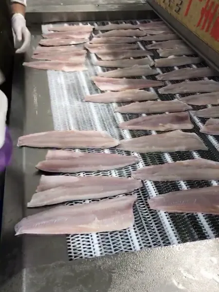 餐饮黑鱼片 鱼柳液氮速冻隧道生产效果