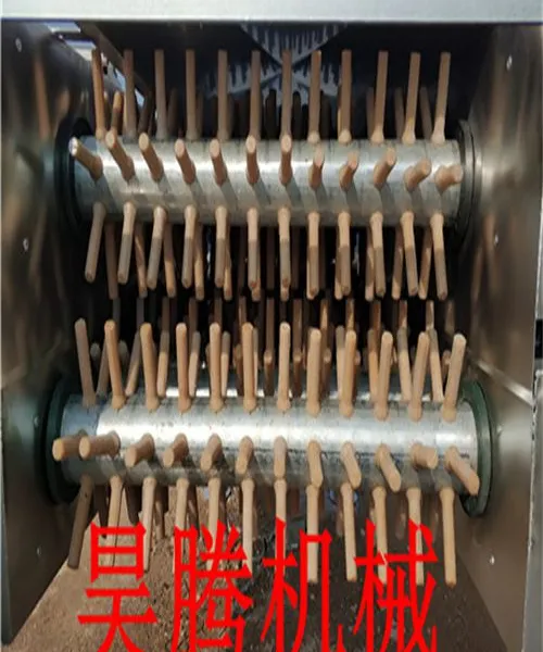 С����ʽ������ë����ϸ����