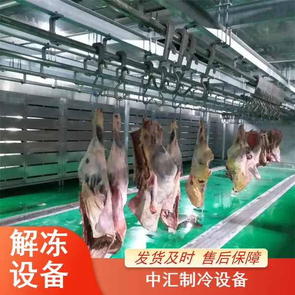 牛四分体缓化设备 部位肉解冻机 低温高湿解冻 支持订制