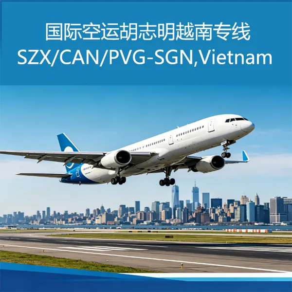 广东深圳到胡志明国际空运/ SZX-SGN /EXW CIF FOB Door to door/门到门可正报正清