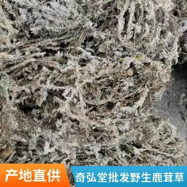 批发鹿茸草 深山采挖当年新货自然晒干品质常年供应各种中草药
