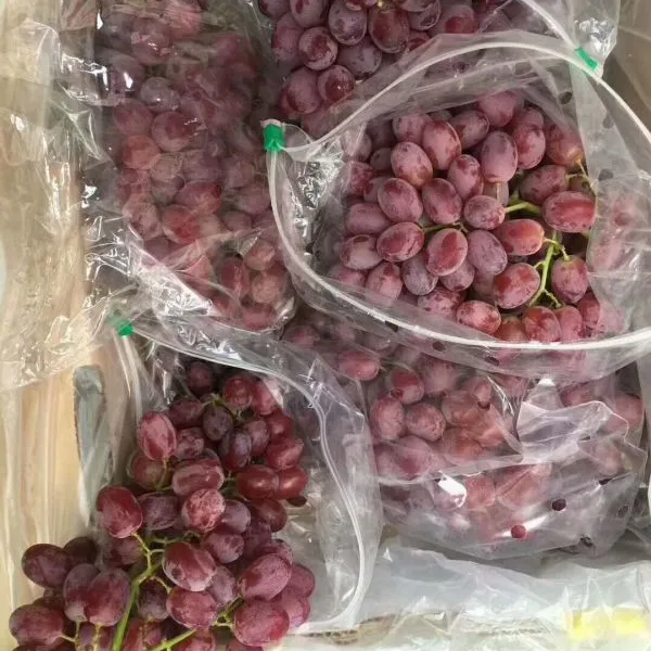 广州水果批发市场