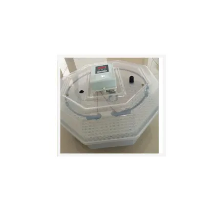 小型孵化机孵化器(50-60枚)(器材) 型号:MN3/JN-60 库号:M394388