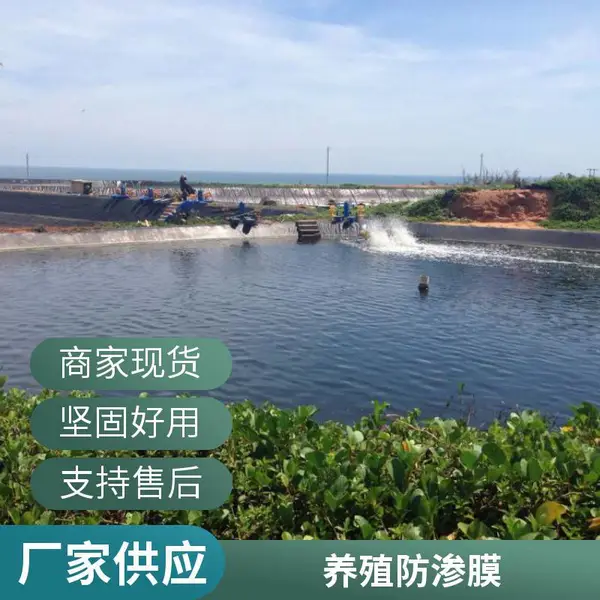 1.0mm厚全新料土工膜 市政环保污水池防渗hdpe黑膜