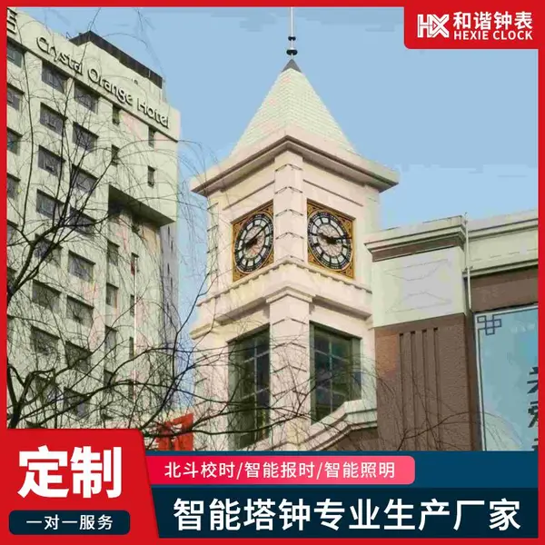 学校门楼大钟 和谐钟表防雷防电磁塔钟系统 多模校时