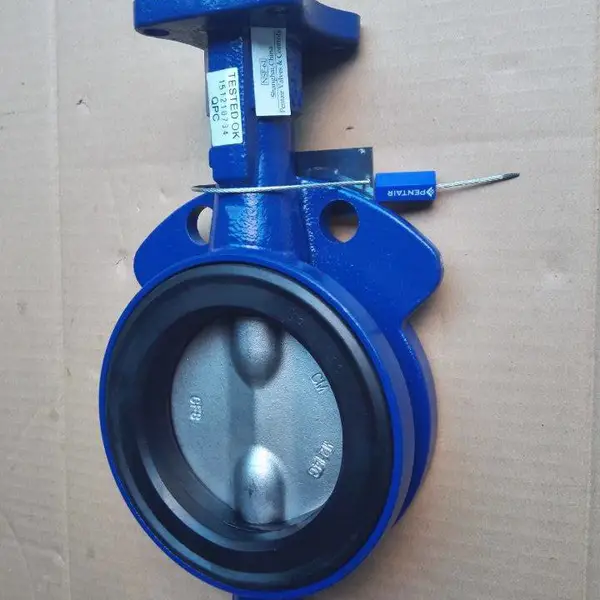 GRW DN350�ֶ����� ������-����������-EPDM������-CF8M)